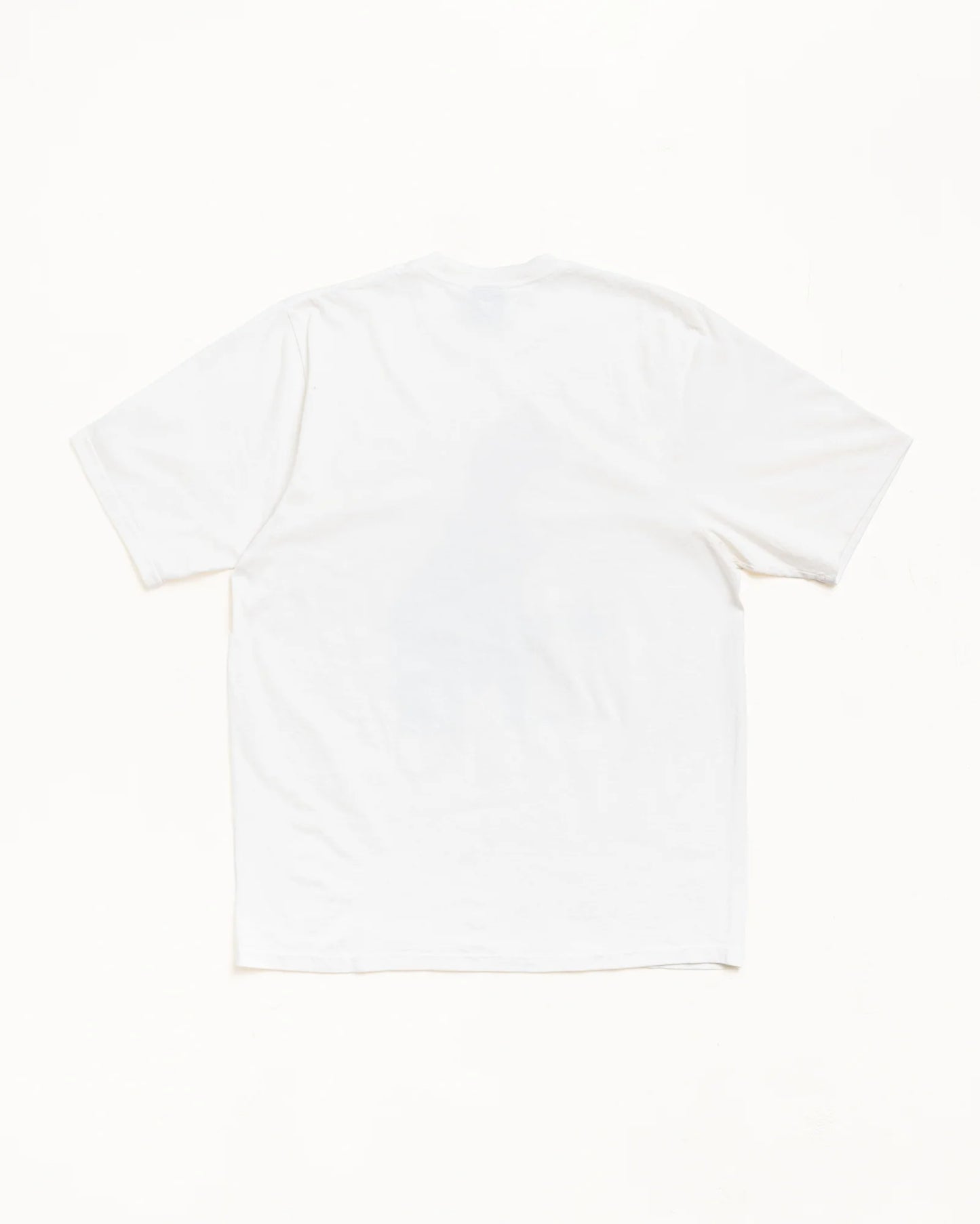 BIG MEATY TEE PIGMENT DYED