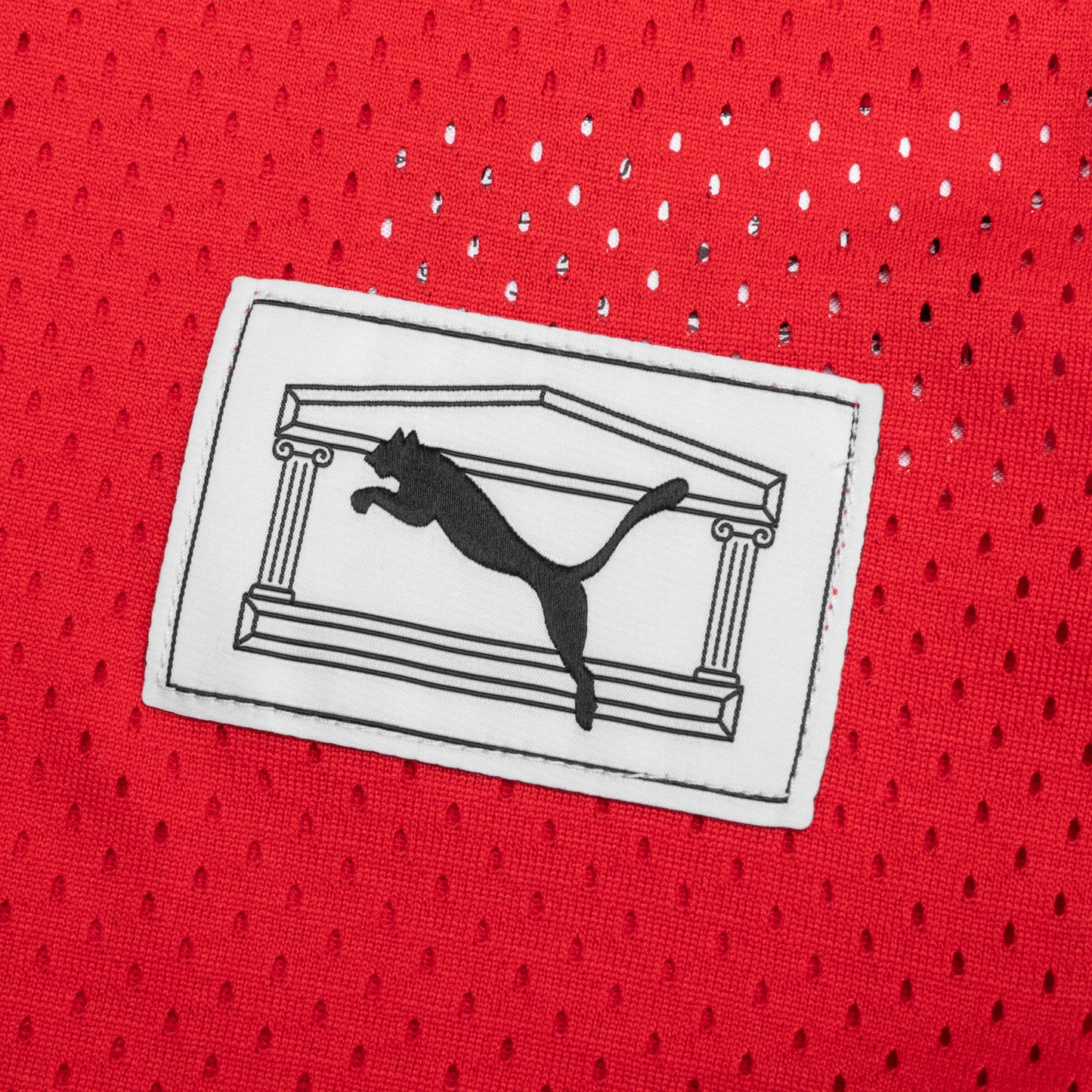 Puma x Aries Mesh Long Sleeve Red
