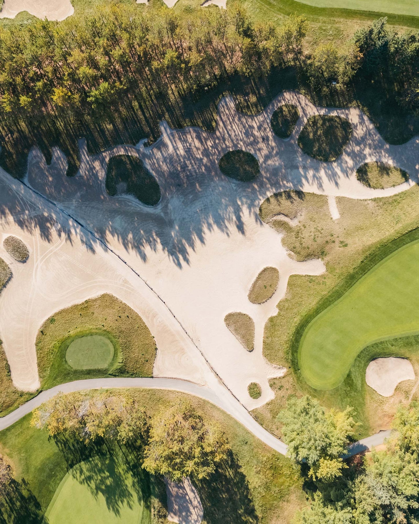 OVO Golf Classic One Day Experience Foursome