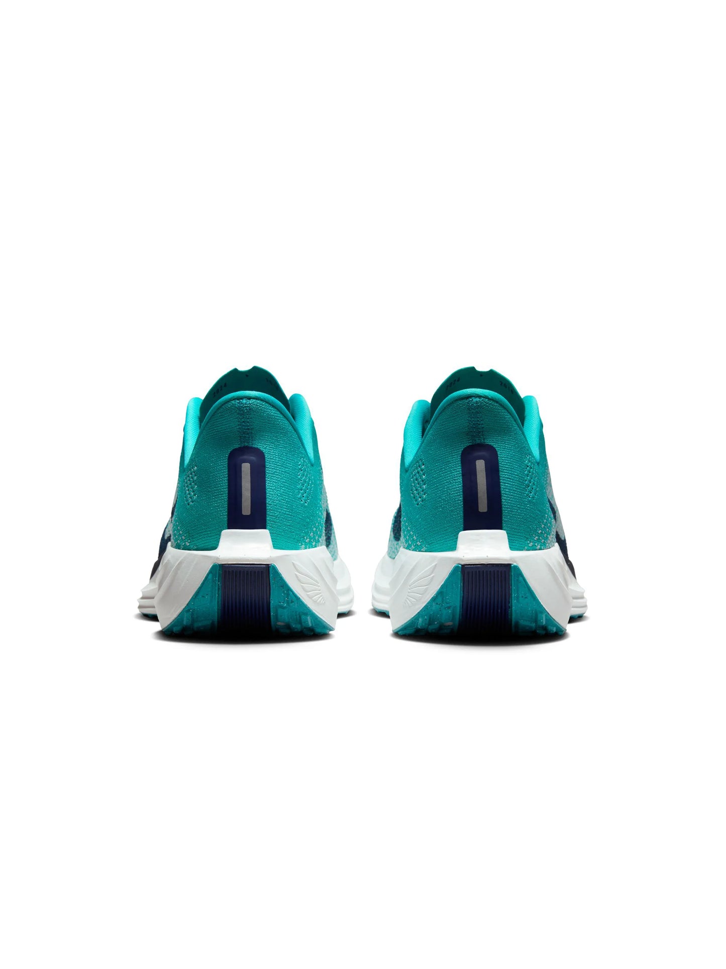 Nike Pegasus Plus Mens Shoes
