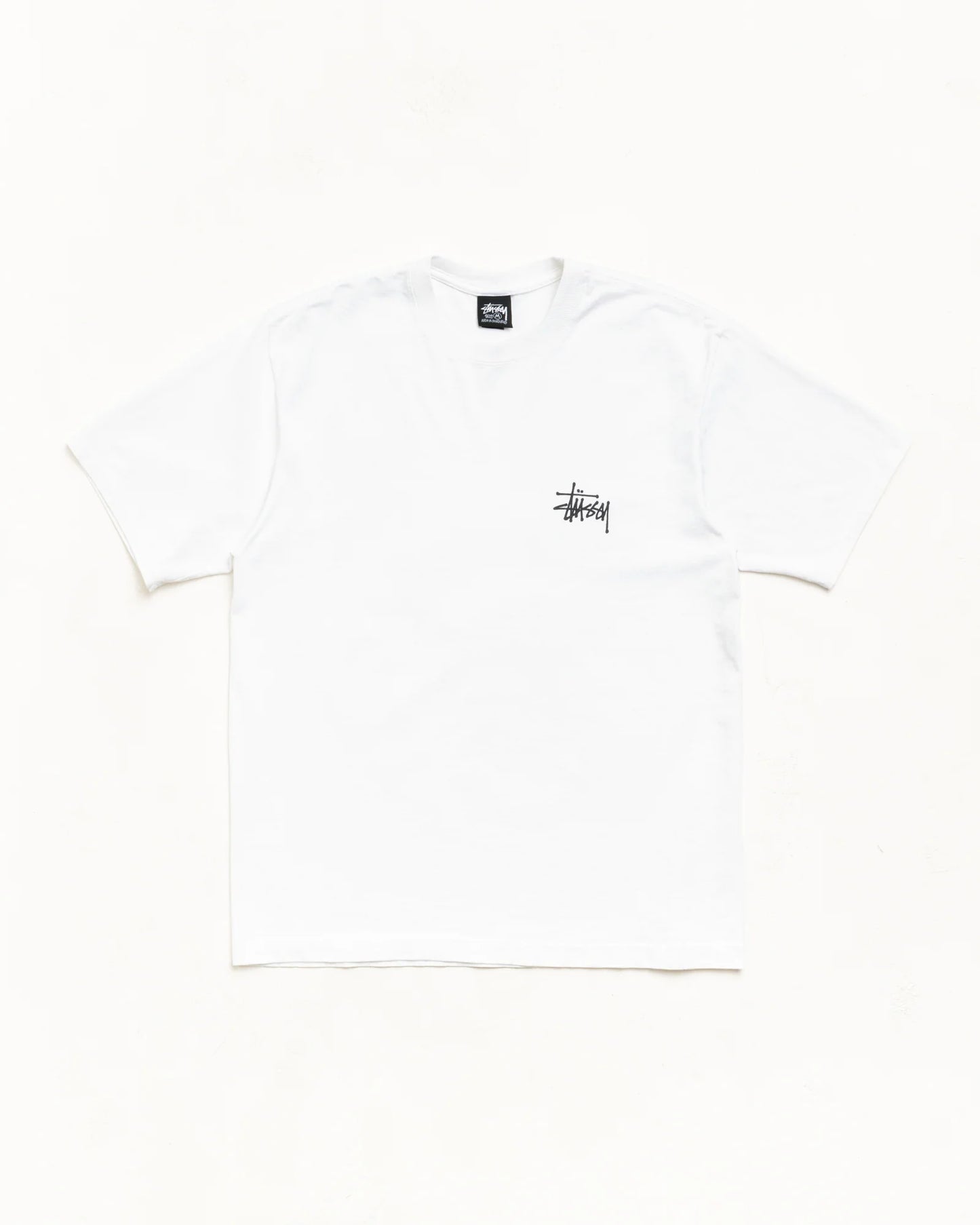 BIG DOG STONE WASHED TEE